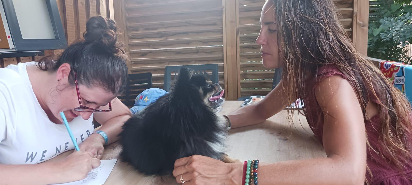 Galerie médiation animale