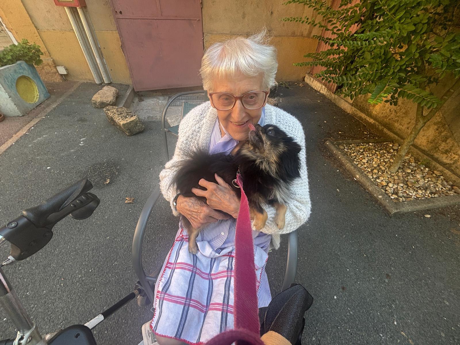 Galerie médiation animale