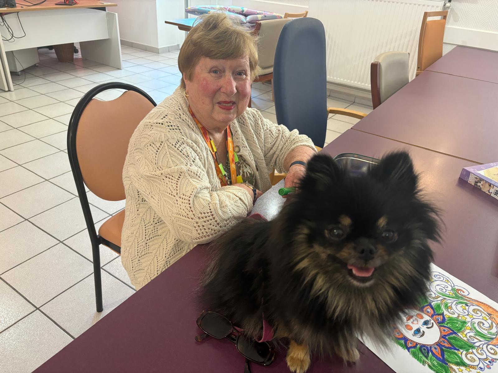 Galerie médiation animale