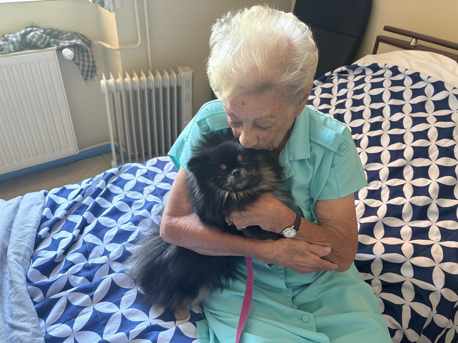 Galerie médiation animale