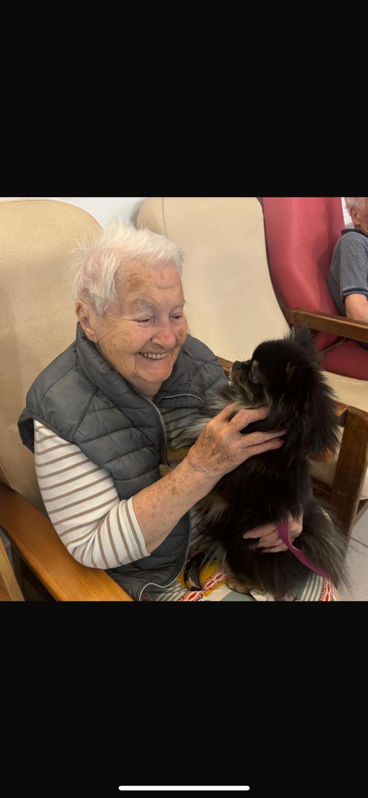 Galerie médiation animale