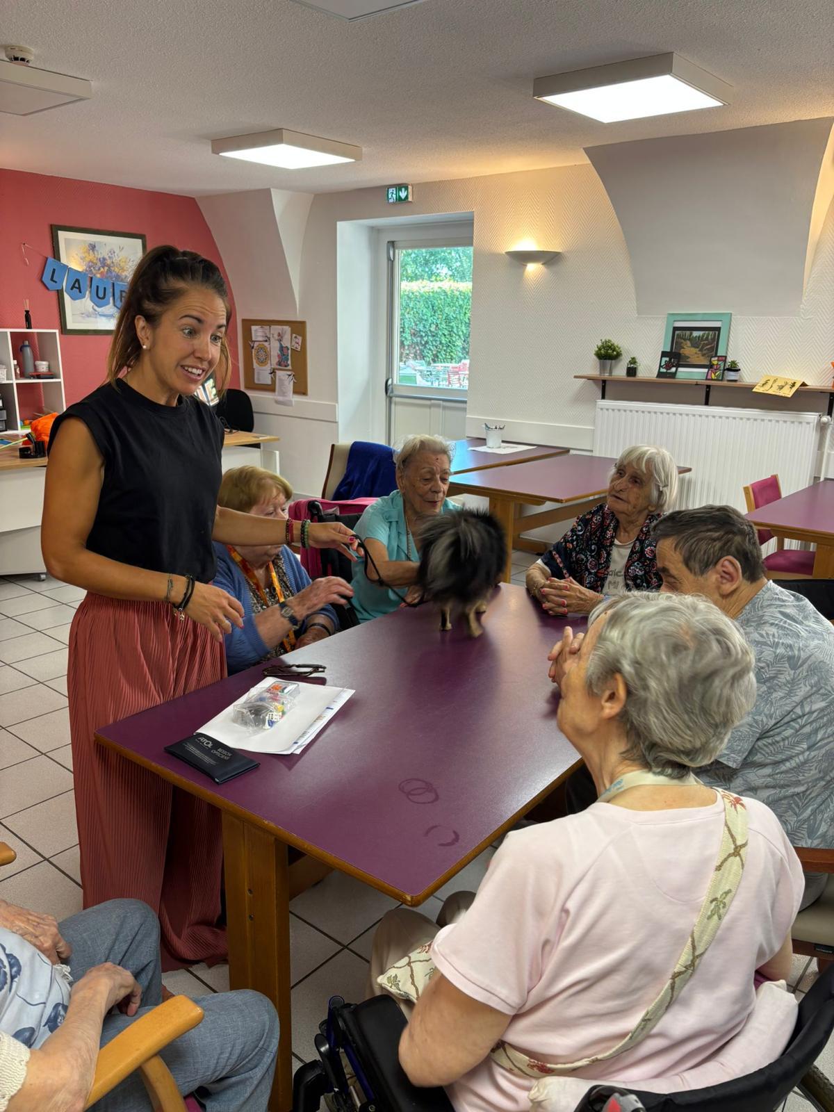 Galerie médiation animale