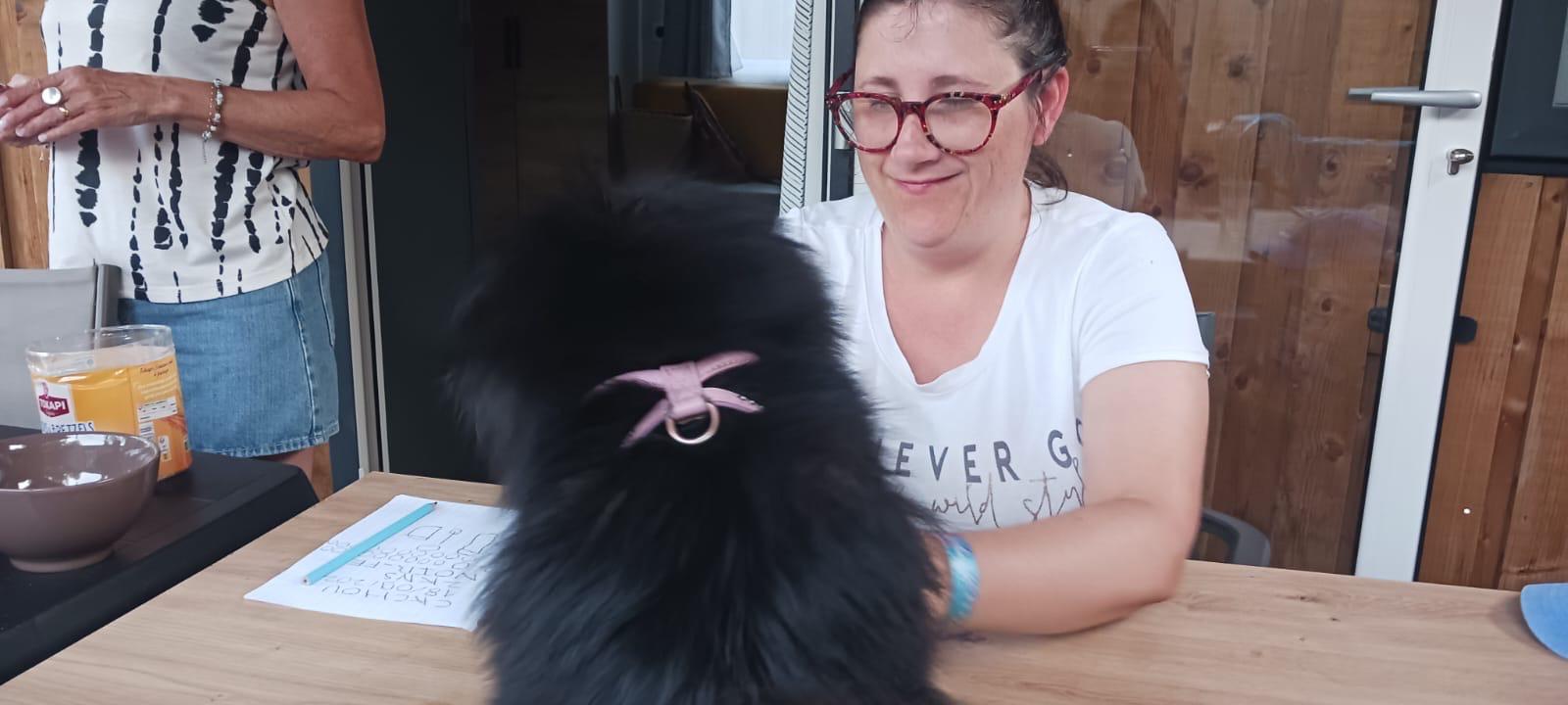 Galerie médiation animale