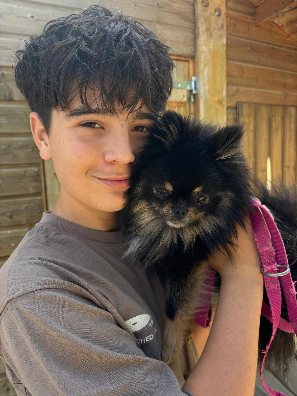 Galerie médiation animale