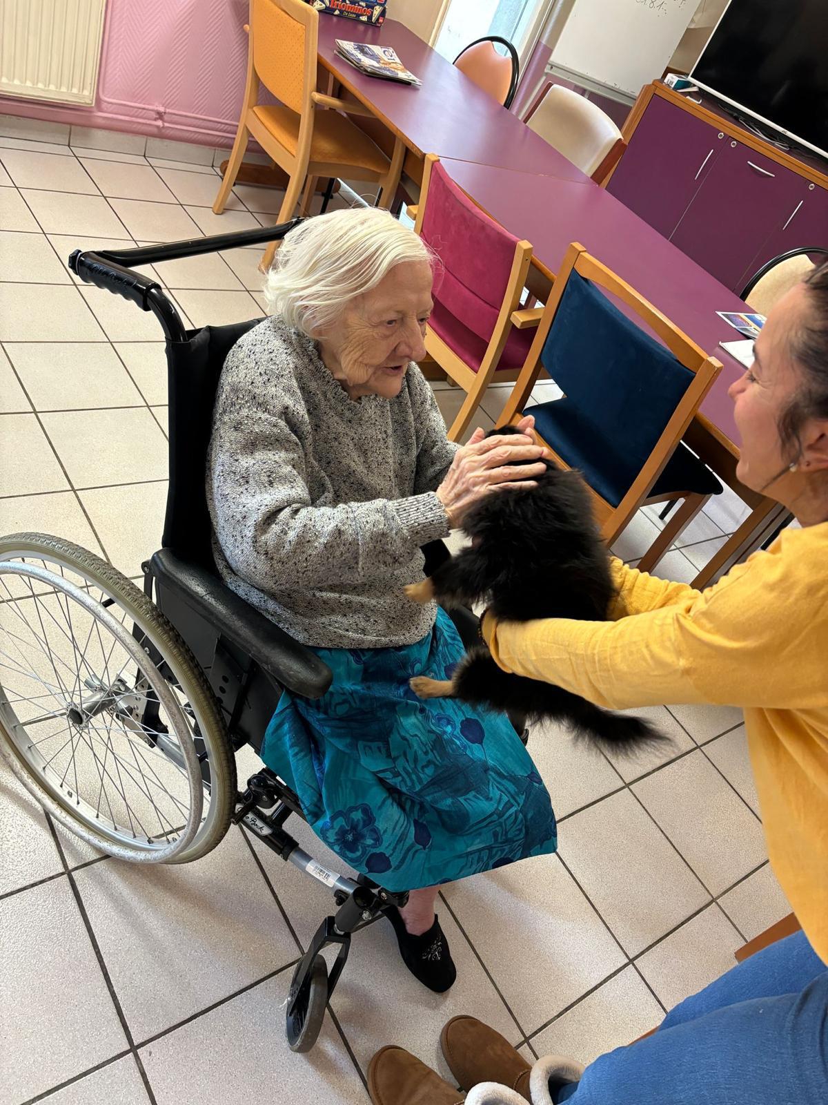 Galerie médiation animale