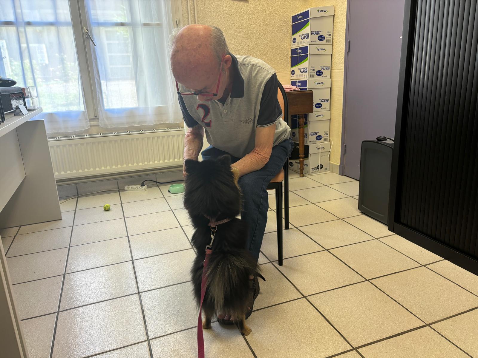 Galerie médiation animale