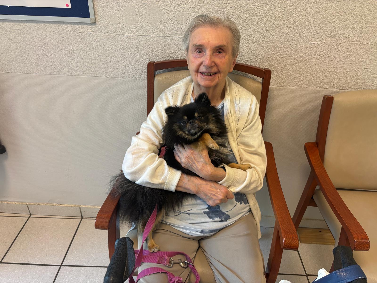 Galerie médiation animale