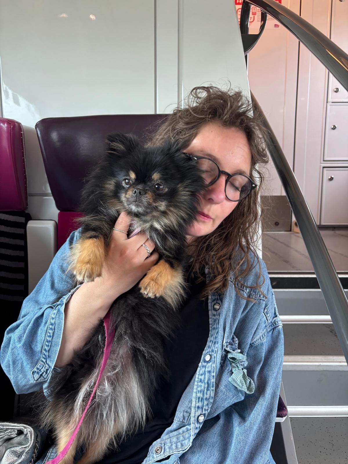 Galerie médiation animale