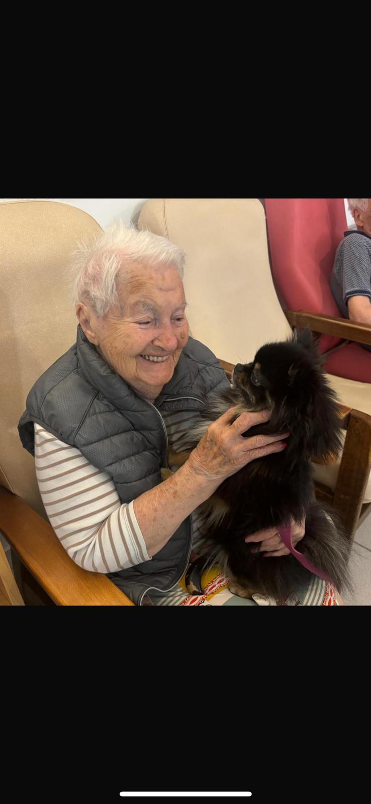 Galerie médiation animale