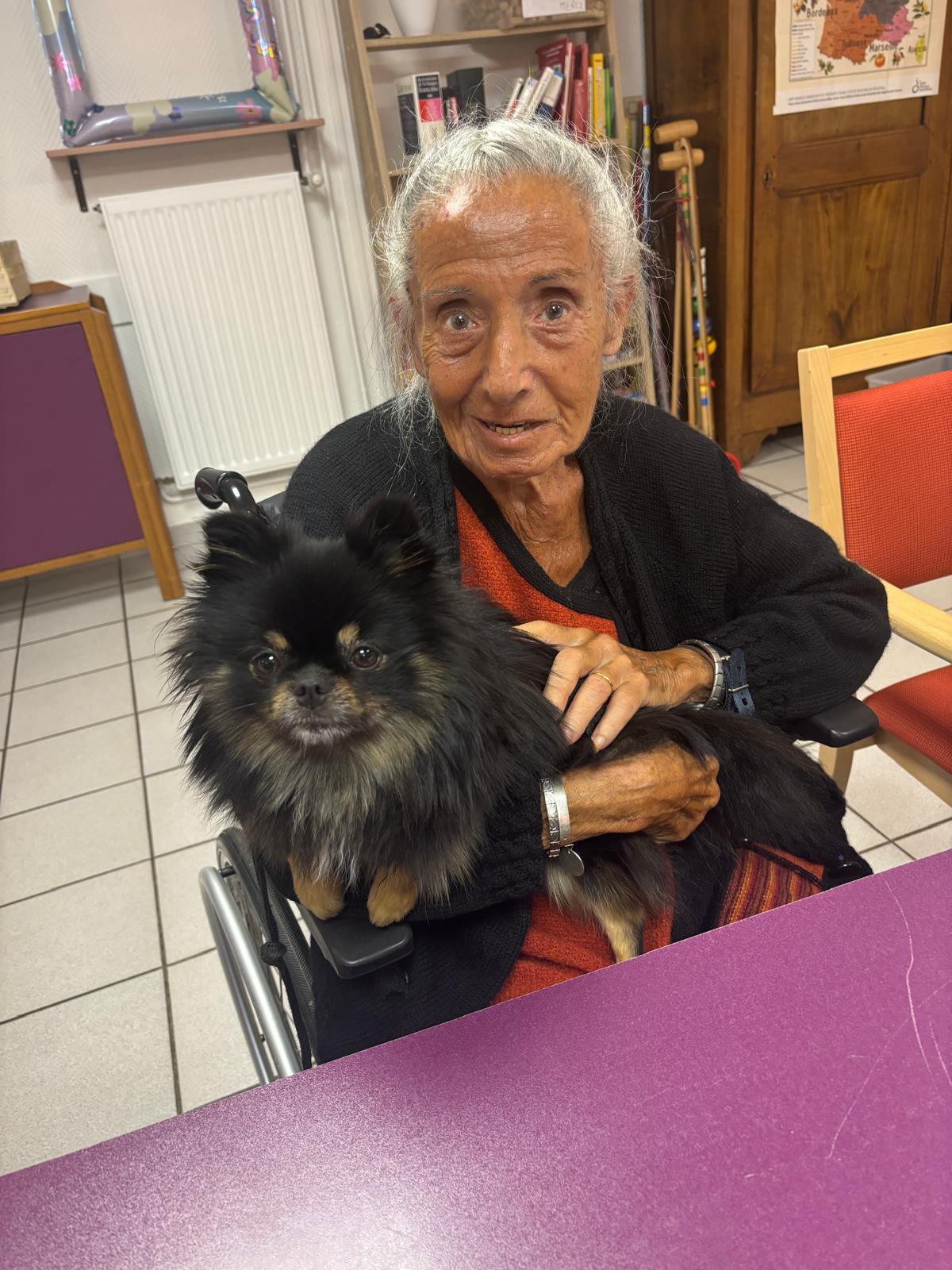 Galerie médiation animale