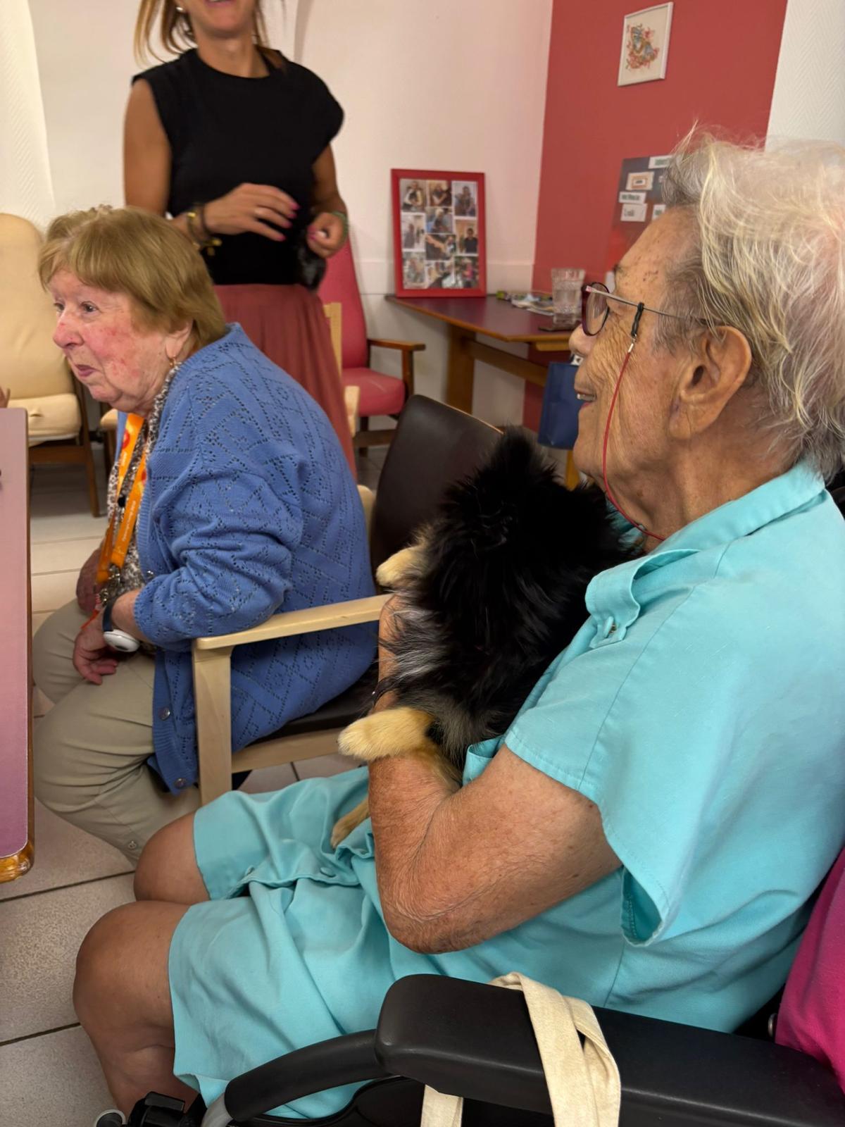 Galerie médiation animale